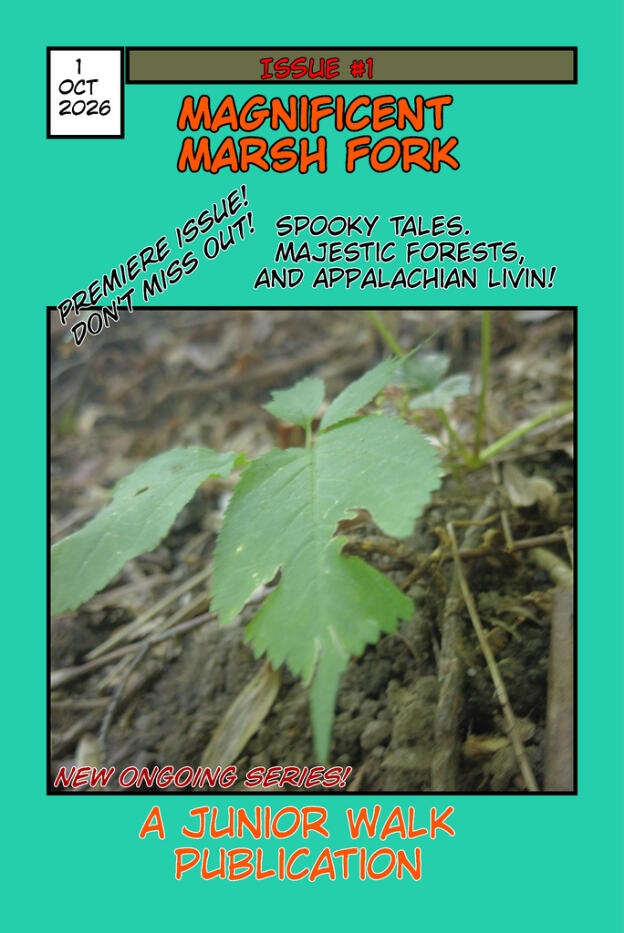 Magnificent Marsh Fork A Junior Walk Publication